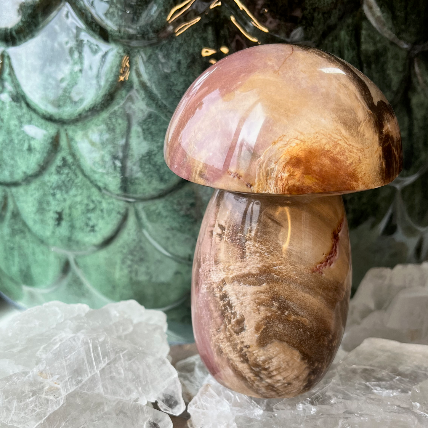 Petrified Wood Mushroom | F