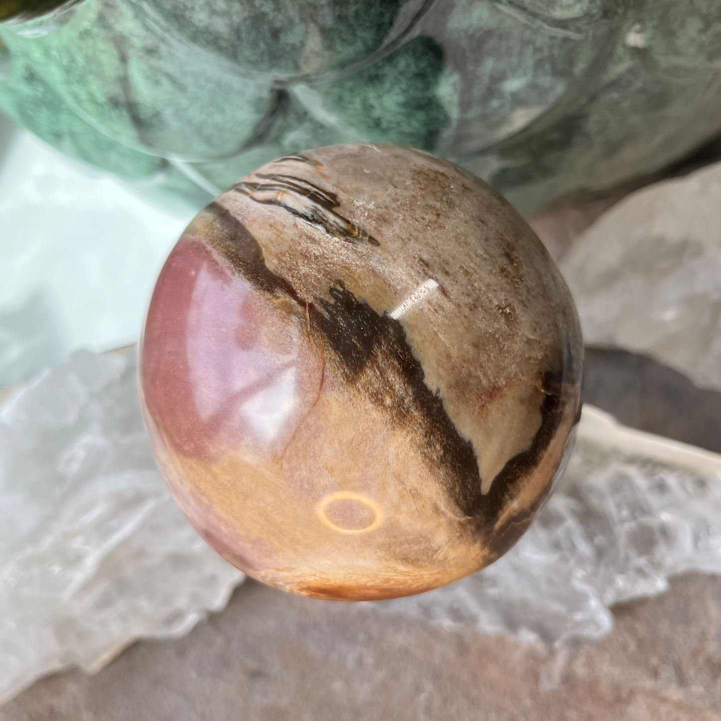 Petrified Wood Mushroom | F