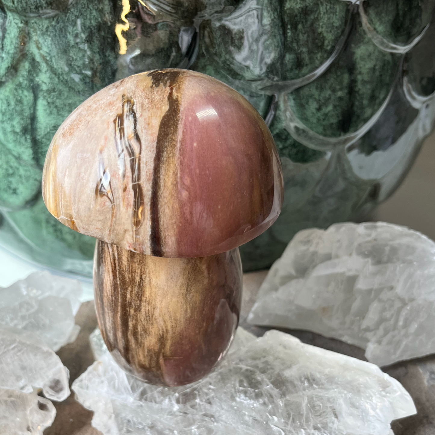 Petrified Wood Mushroom | F