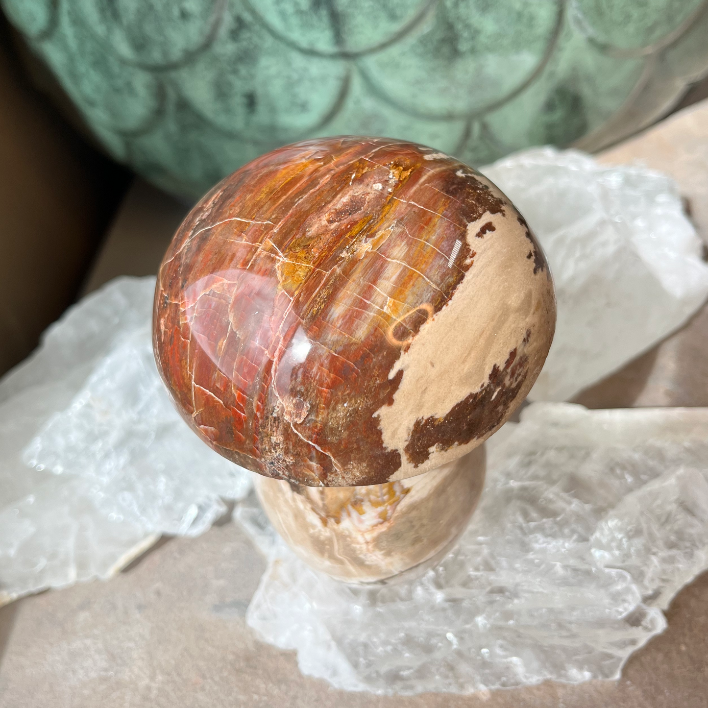 Petrified Wood Mushroom | B