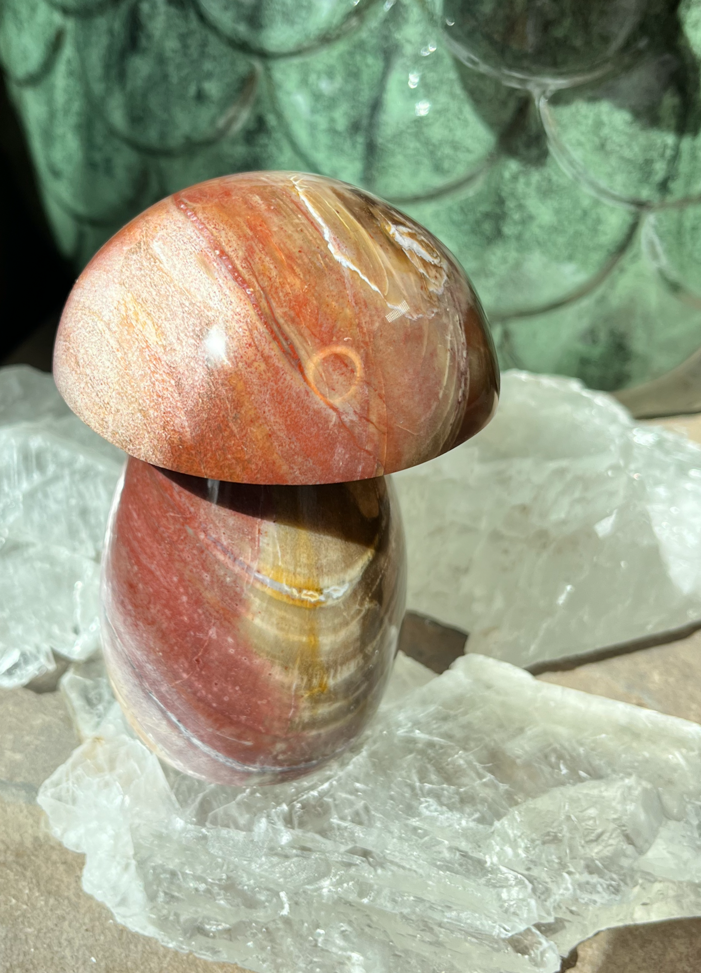 Petrified Wood Mushroom | C