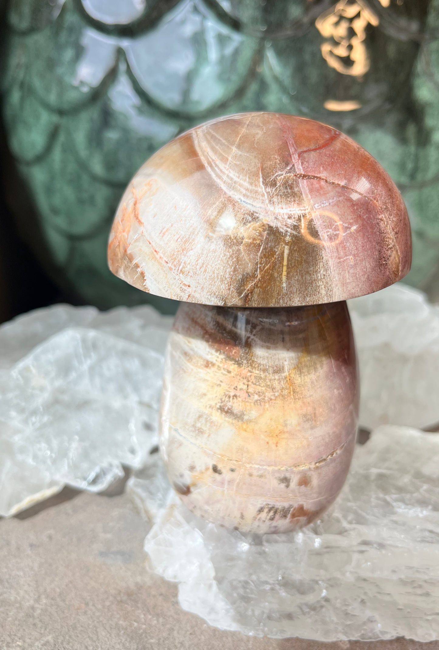 Petrified Wood Mushroom | C