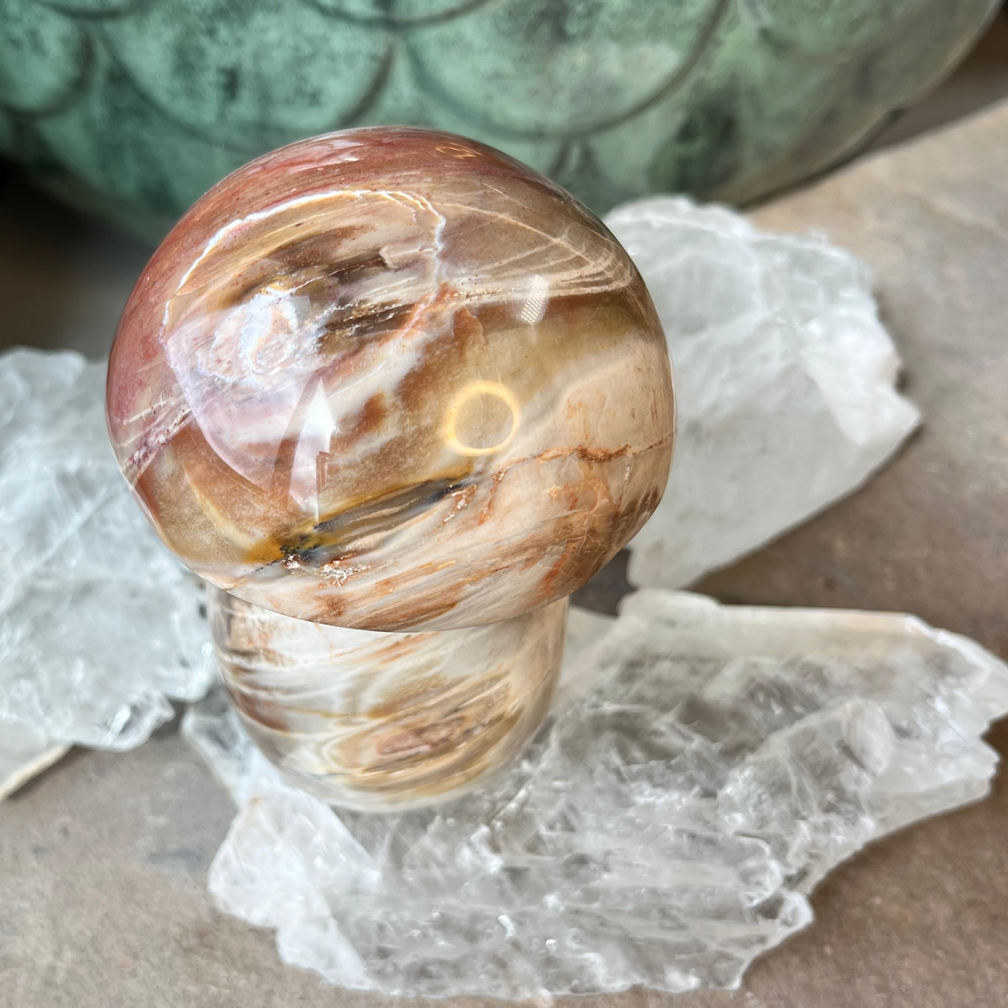 Petrified Wood Mushroom | C