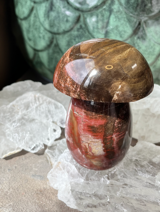 Petrified Wood Mushroom | A