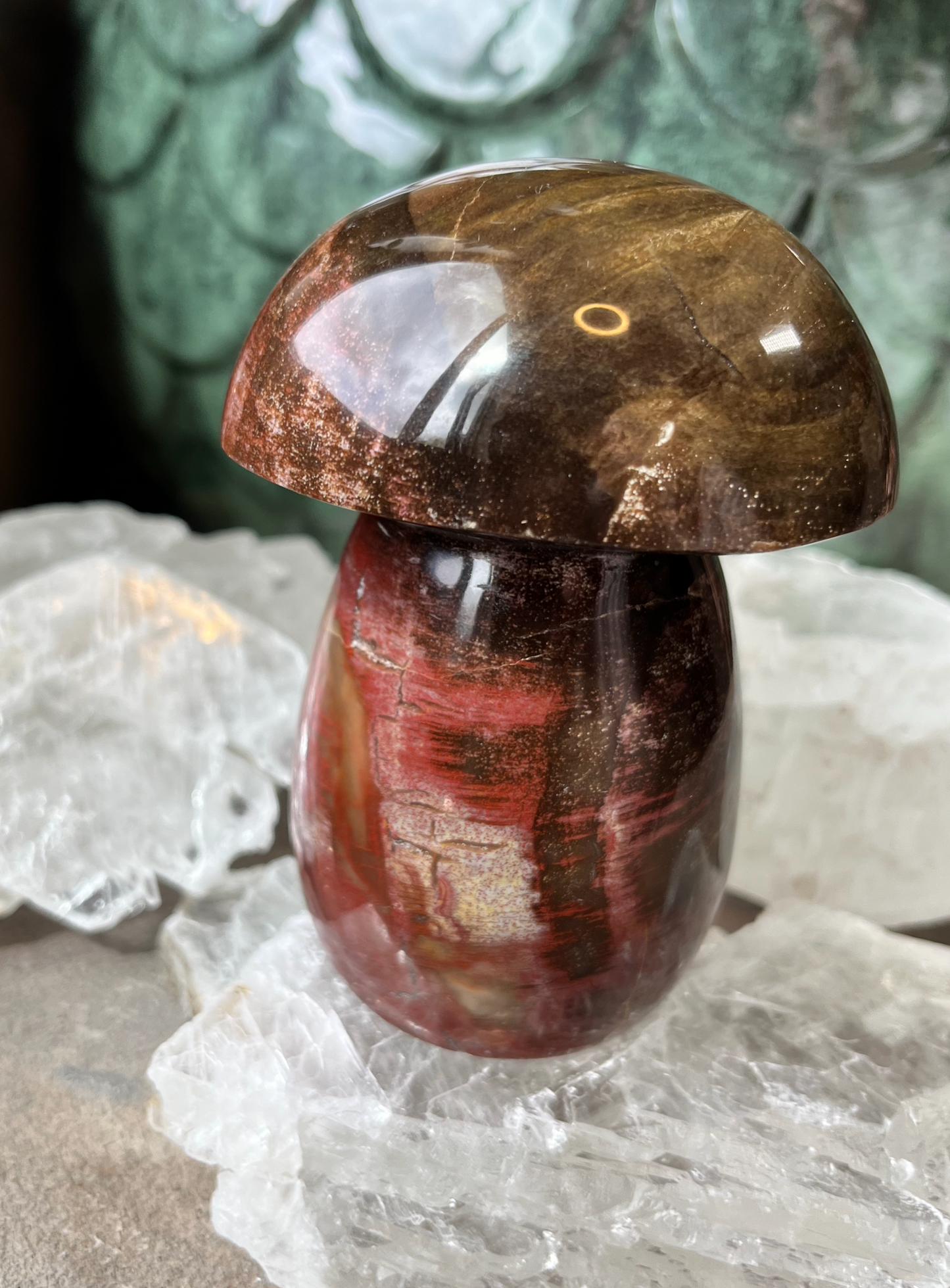 Petrified Wood Mushroom | A