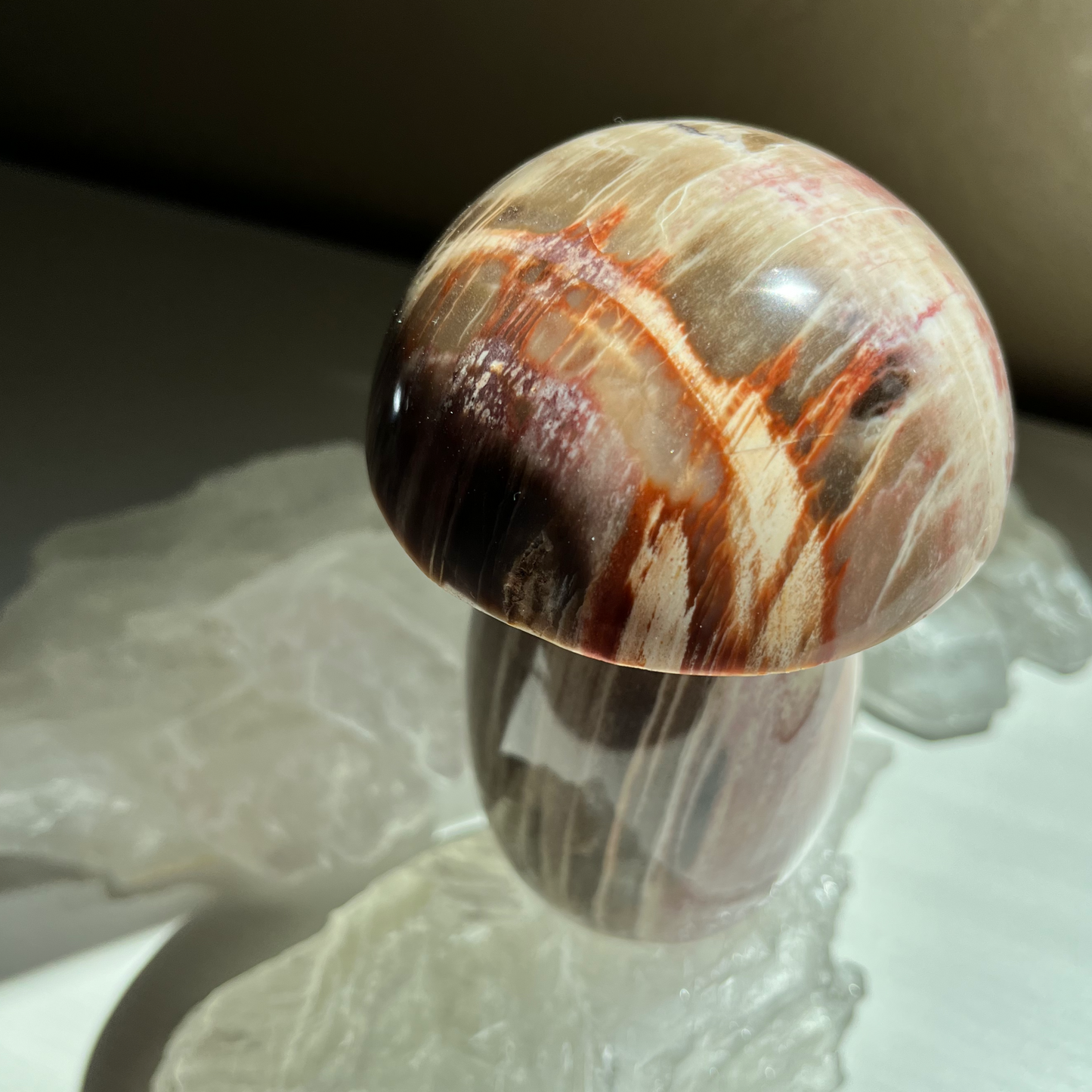 Petrified Wood Mushroom | D