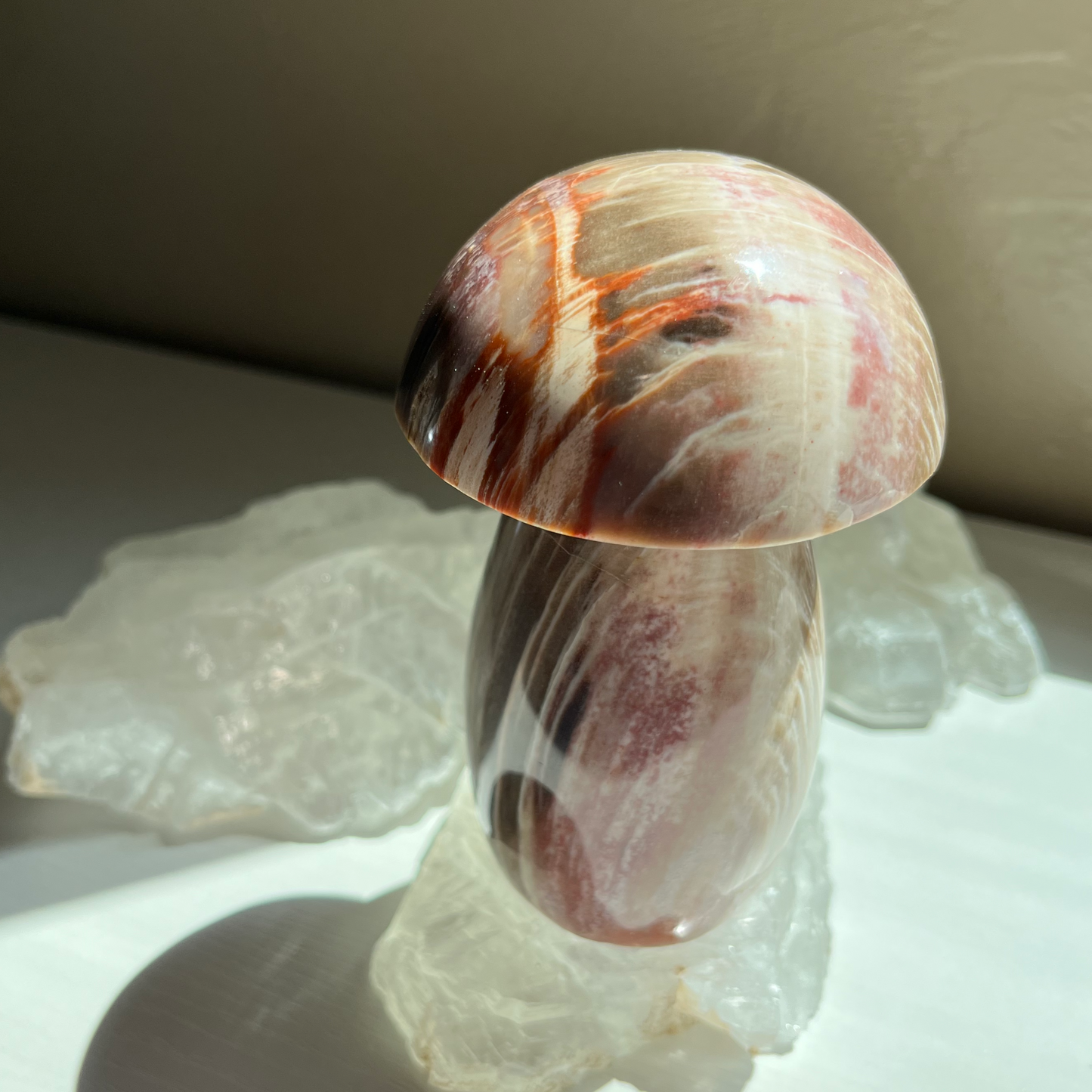 Petrified Wood Mushroom | D