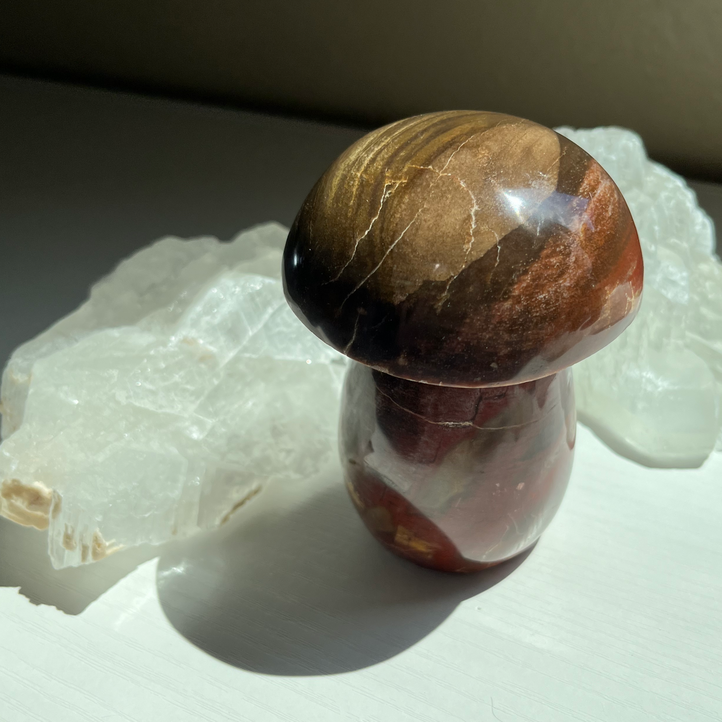Petrified Wood Mushroom | A
