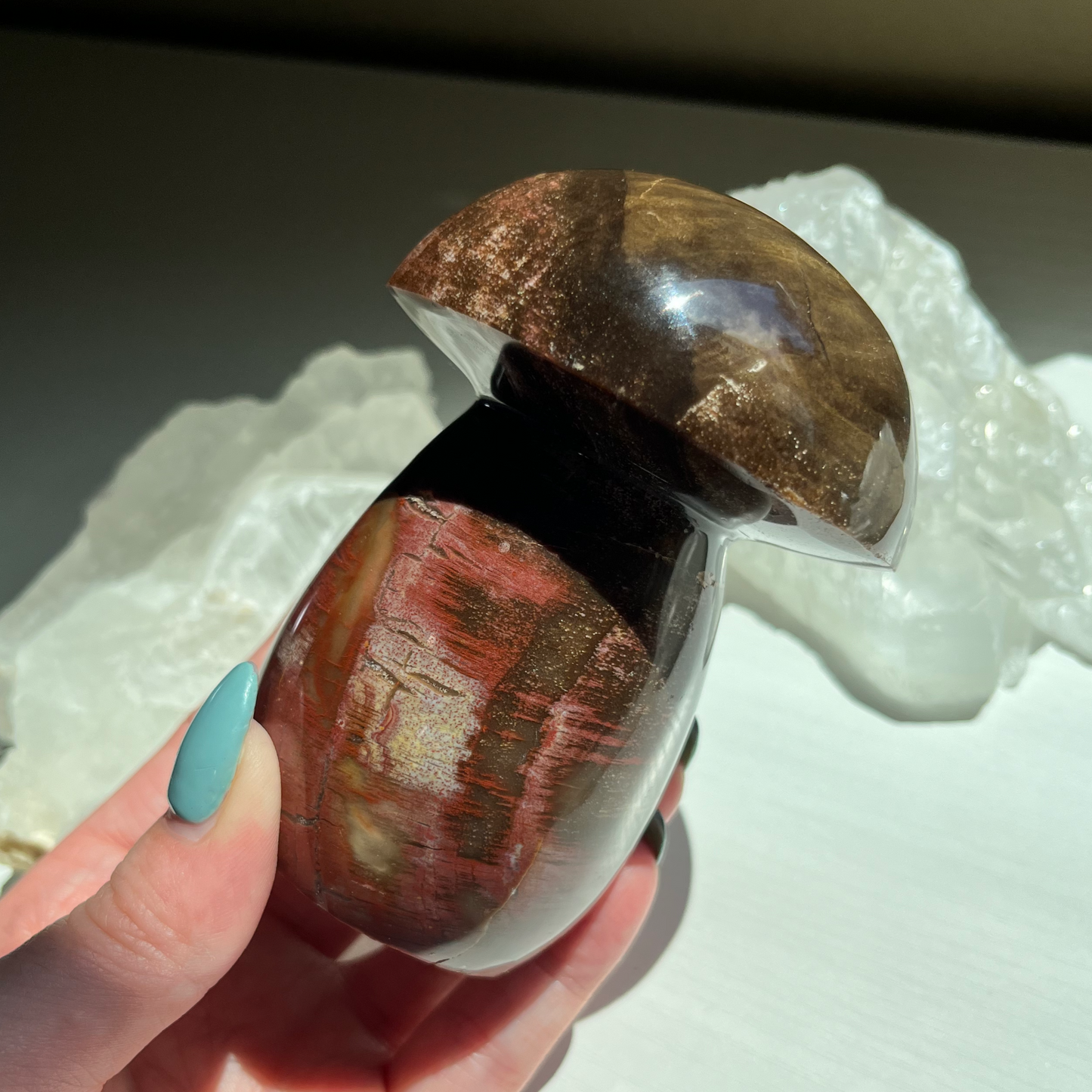 Petrified Wood Mushroom | A