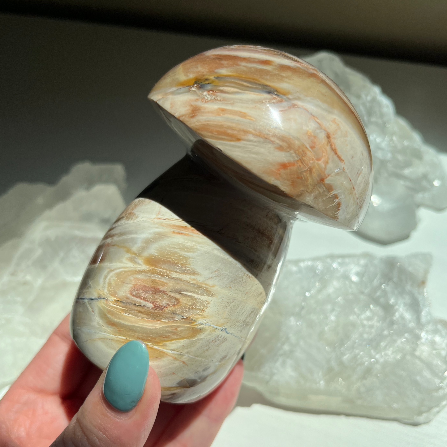Petrified Wood Mushroom | C