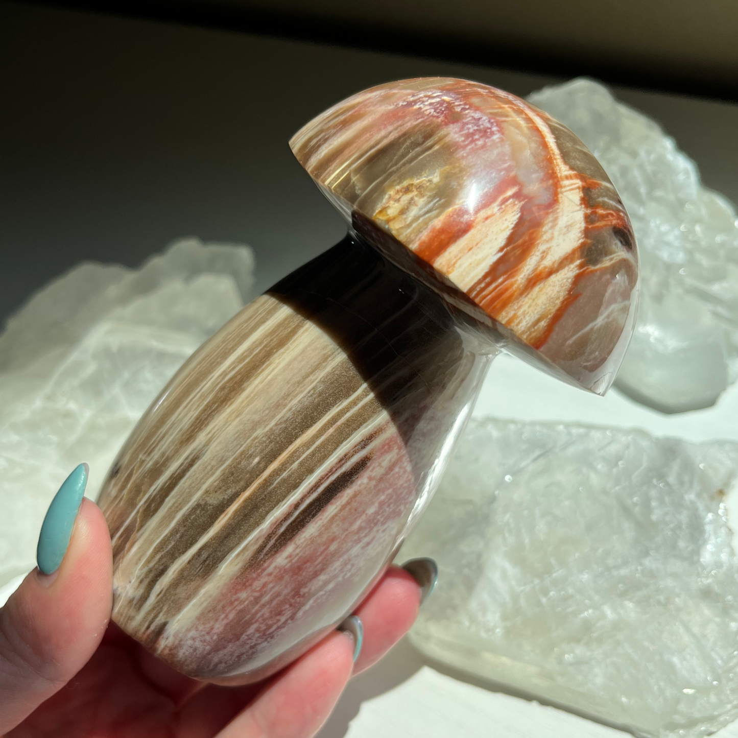 Petrified Wood Mushroom | D