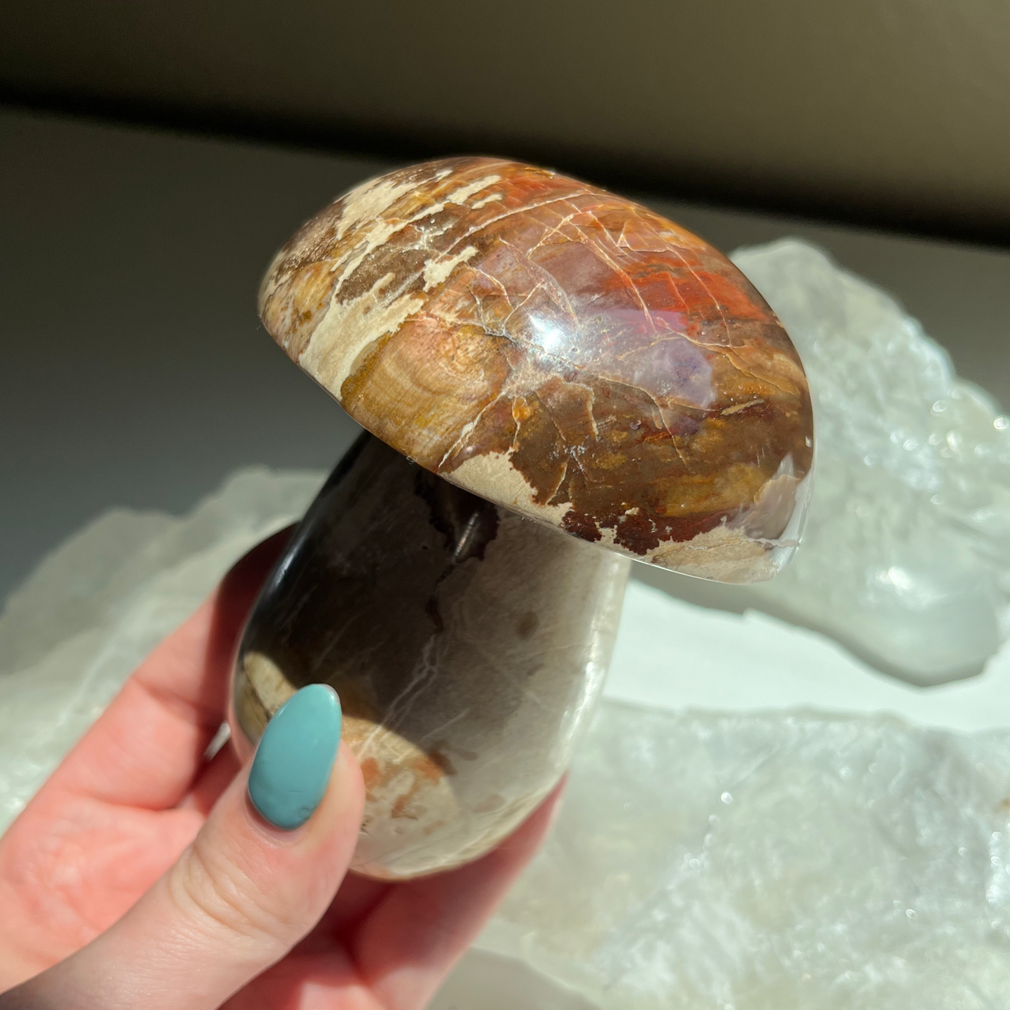 Petrified Wood Mushroom | B