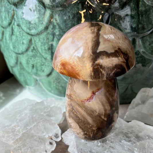 Petrified Wood Mushroom | F