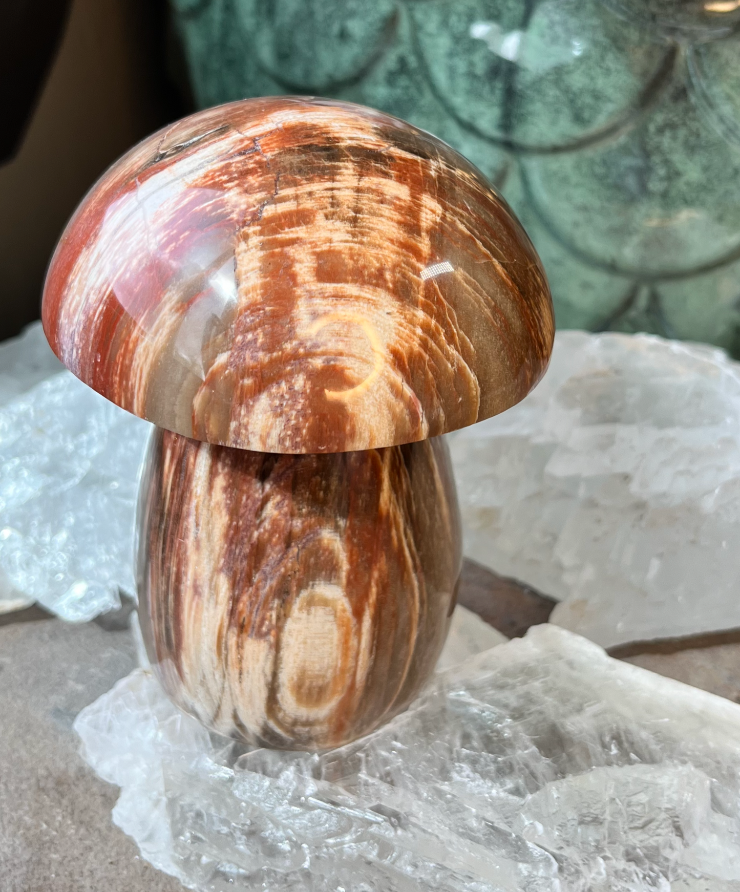 Petrified Wood Mushroom | E