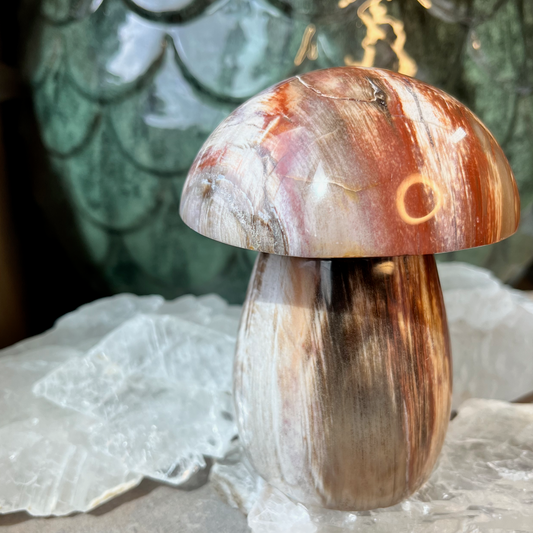 Petrified Wood Mushroom | E