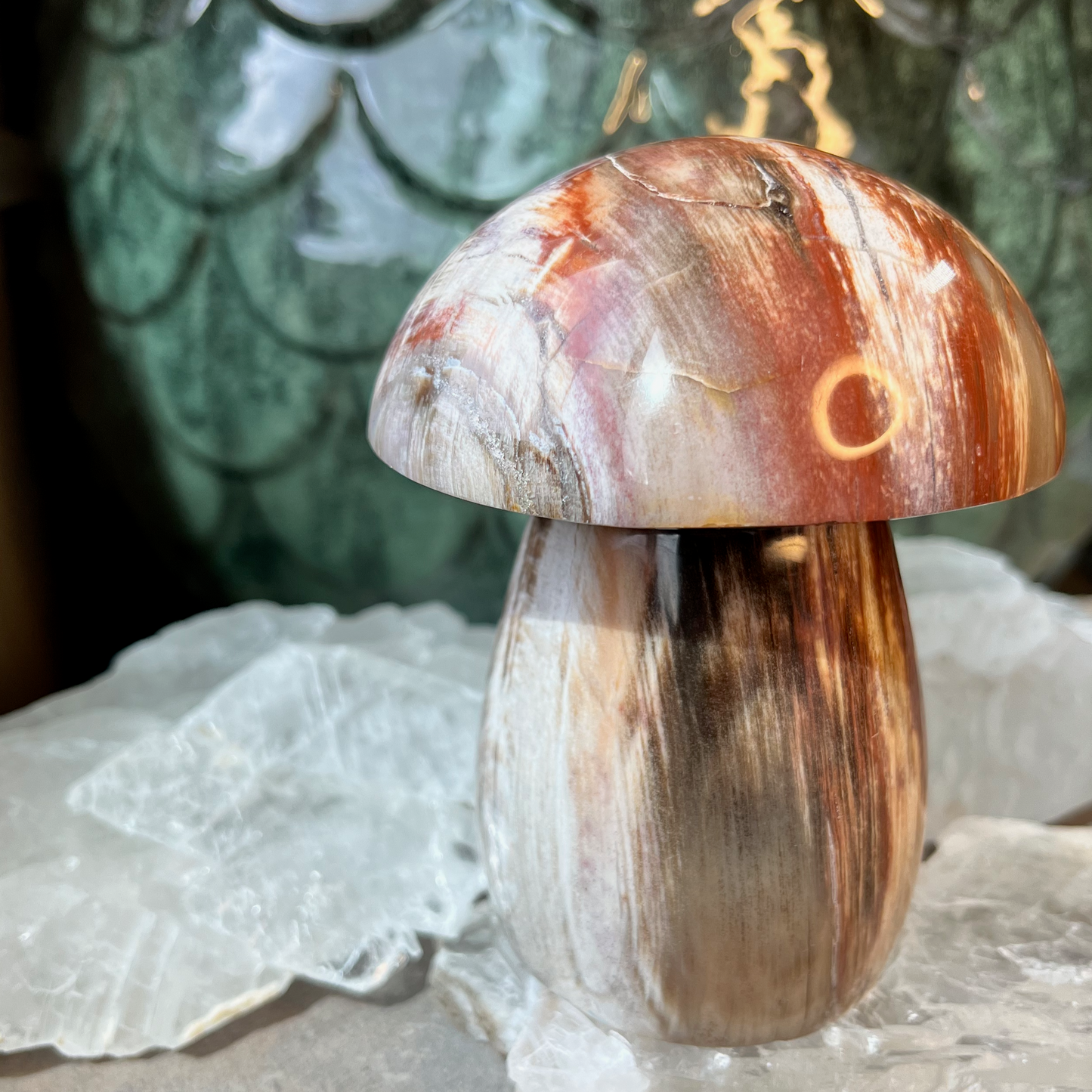 Petrified Wood Mushroom | E