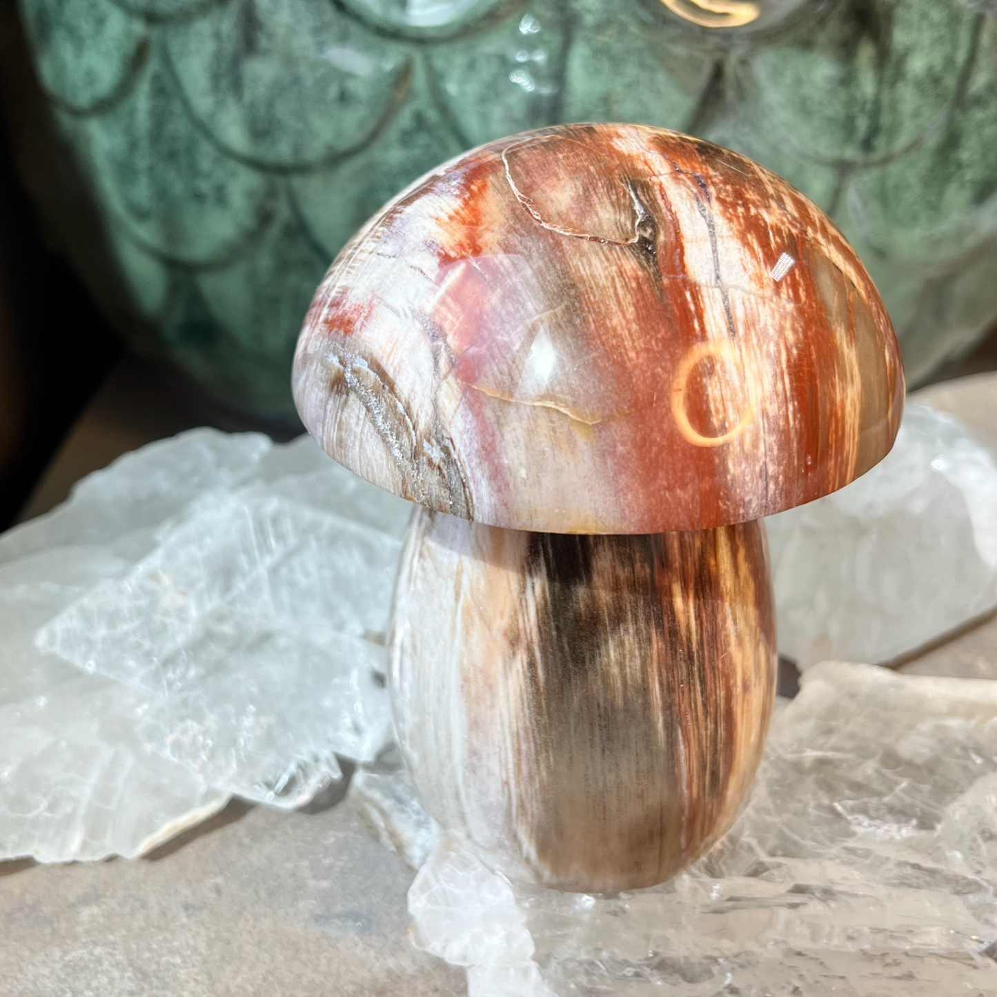 Petrified Wood Mushroom | E