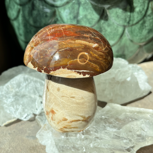 Petrified Wood Mushroom | B